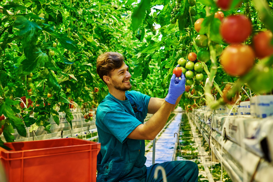 Soluzioni di qualità per una filiera agroalimentare resiliente